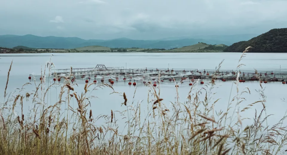 bio economy nature landscape
