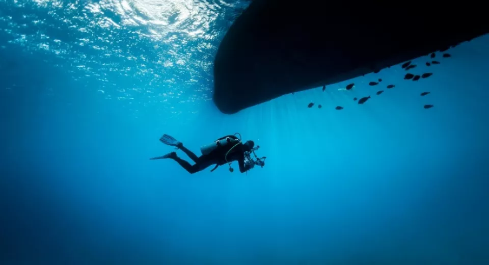 duiker onder water