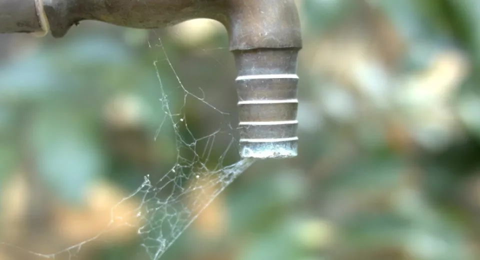 kraan met spinnenweb 