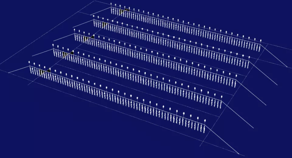 mossellijnen 3D tekening