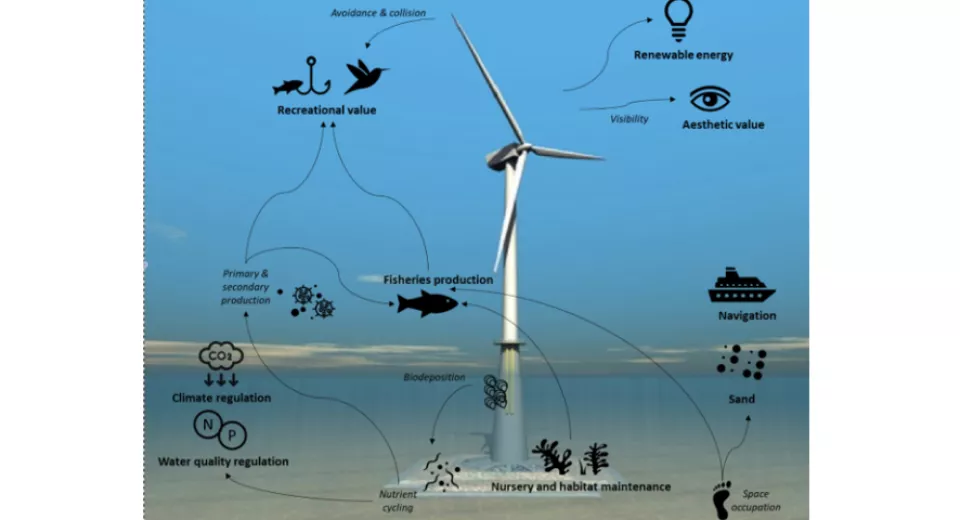 Offshore Wind 