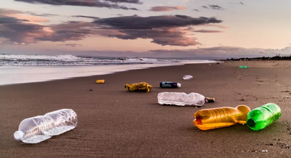 bottles on beach