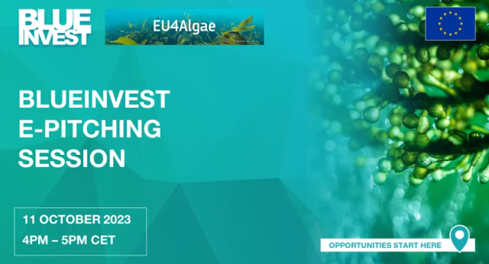 BlueInvest EUAlgae Pitching Session