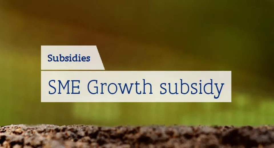 SME Growth Subsidy VLAIO