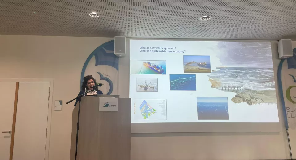 Blue Session Ecosysteembenadering 240201