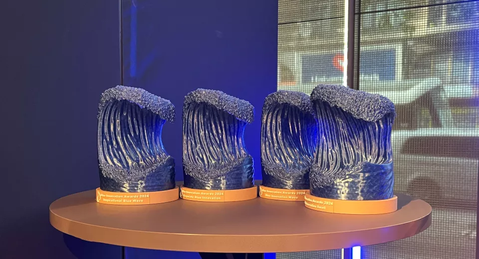 Blue Innovation Awards 2024 ceremony