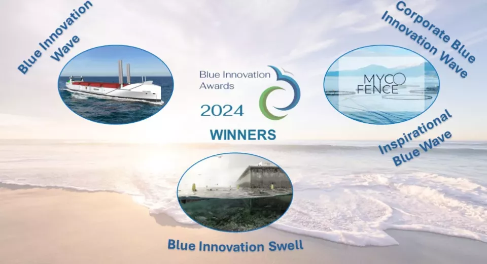 Winnaars Blue Innovation Awards 2024