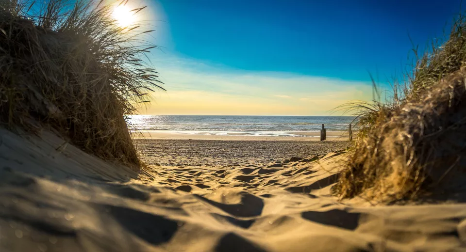 Noordzee duinen strand