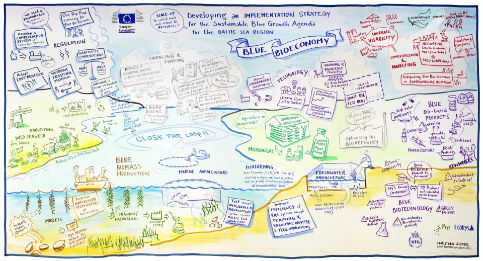 Blue Bioeconomy
