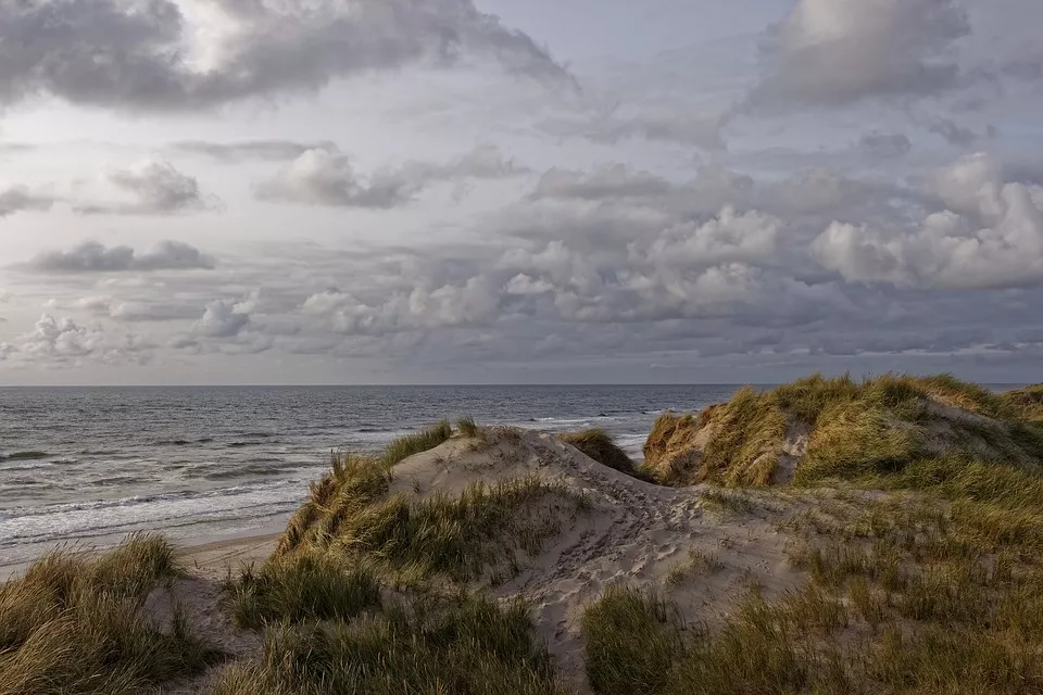 Strand en duinen