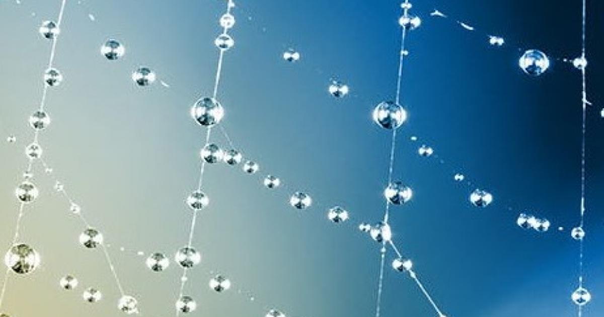 launches 32nd call for project proposals Blue Cluster