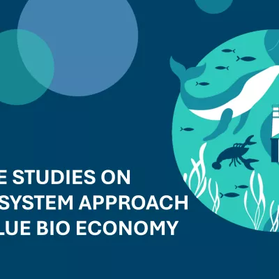 BlueBioClusters Case Studies