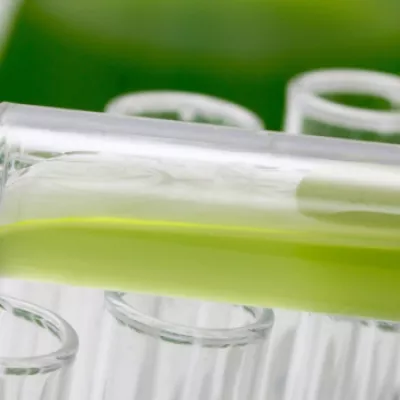 Alga-Care