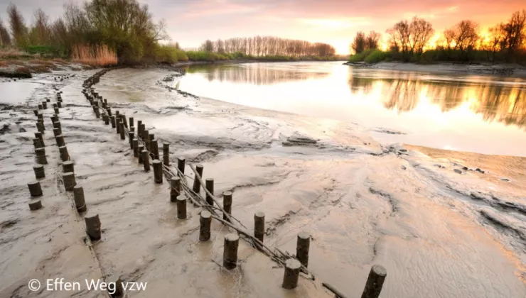 zand met water en bomen in de verte