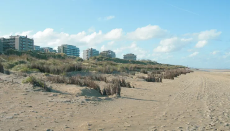 SUSANA - Vlaamse kust