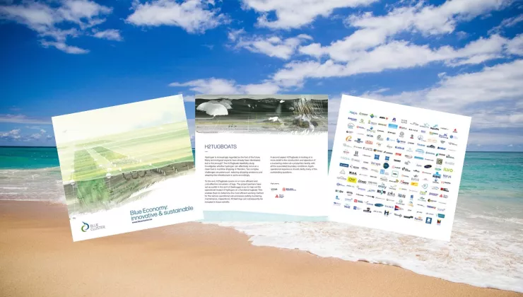 Blue Cluster - 2023 Brochure