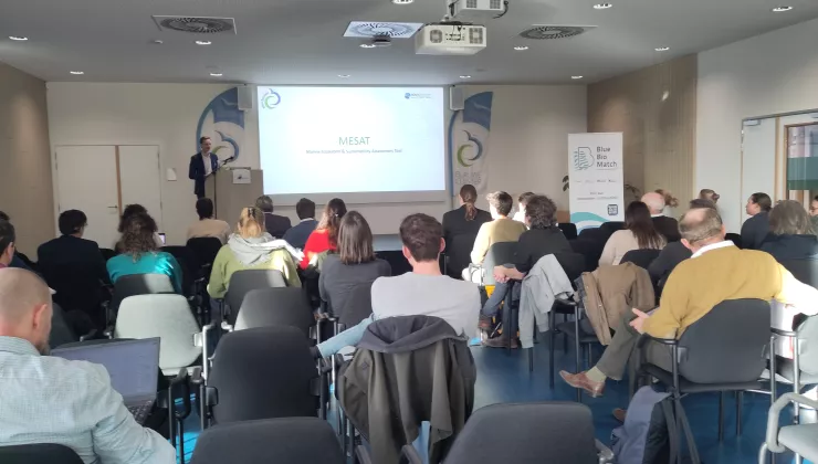 Blue Session Ecosysteembenadering 240201