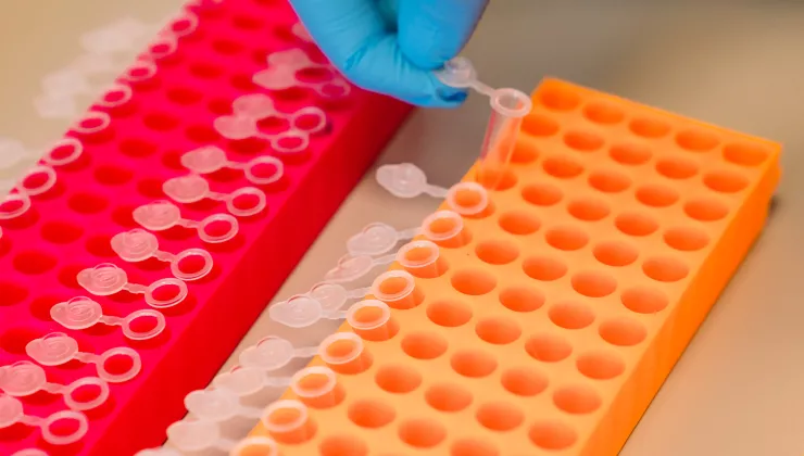 e-DNA optima lab