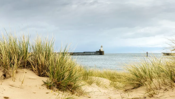 Duinen strand vuurtoren