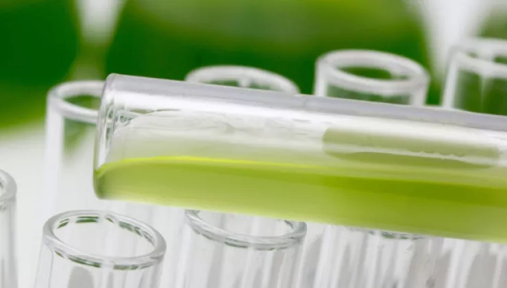 Alga-Care
